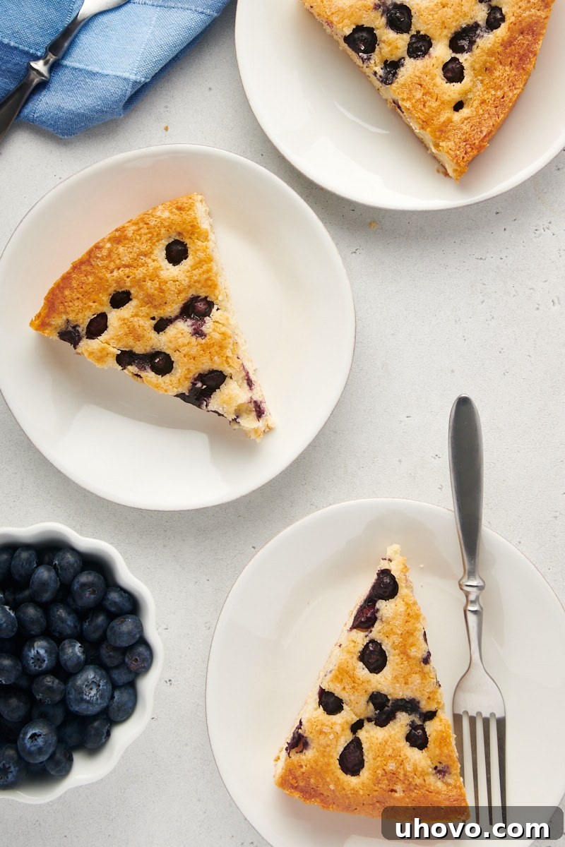 Overhead view of two plates, each holding a slice of blueberry breakfast cake, ready to be served.