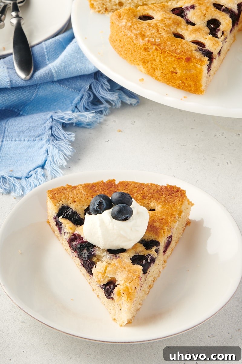 A beautiful slice of blueberry breakfast cake on a plate, garnished with whipped cream and fresh berries, showcasing its moist texture.