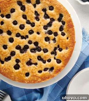 Overhead view of a whole, golden-brown blueberry breakfast cake, fresh from the oven and cooling.