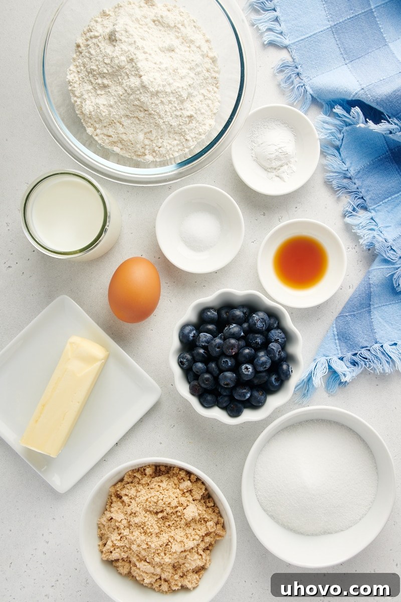 Overhead view of fresh ingredients for a simple blueberry cake laid out on a kitchen counter.