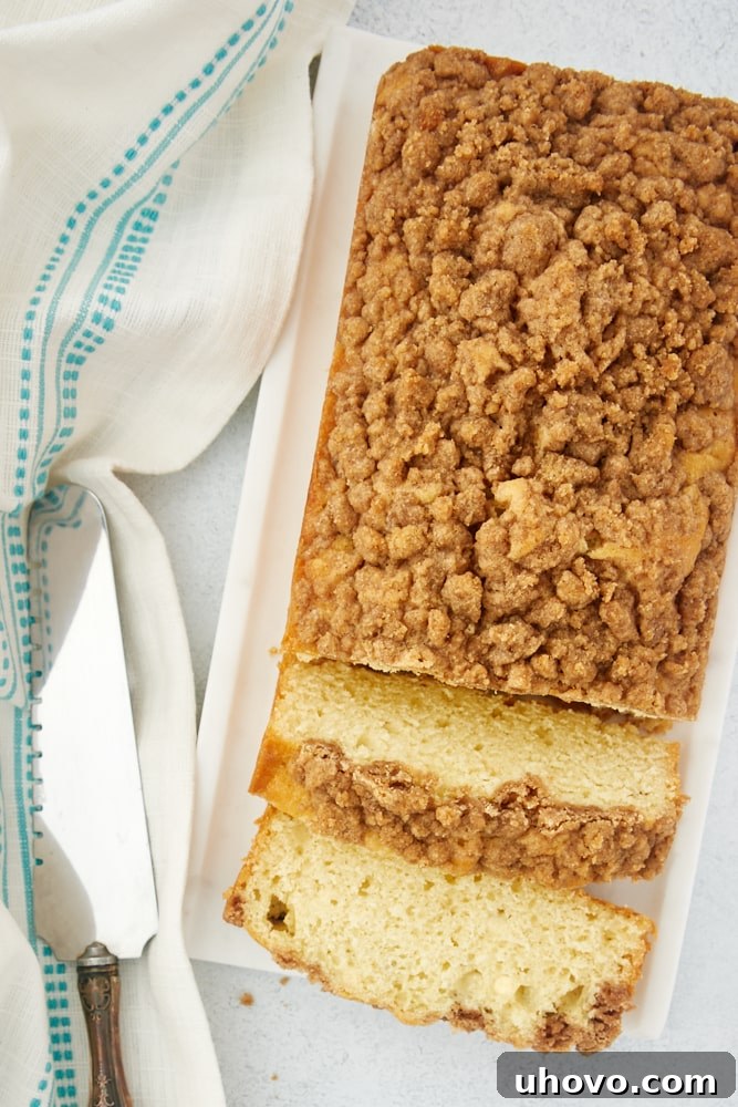 An inviting overhead view of a freshly baked Sour Cream Coffee Cake Loaf, showcasing its perfect golden-brown cinnamon crumb topping, resting on a pristine white tray.