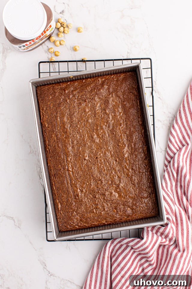 Overhead view of freshly baked Nutella brownies in the pan, cooling on a wire rack.