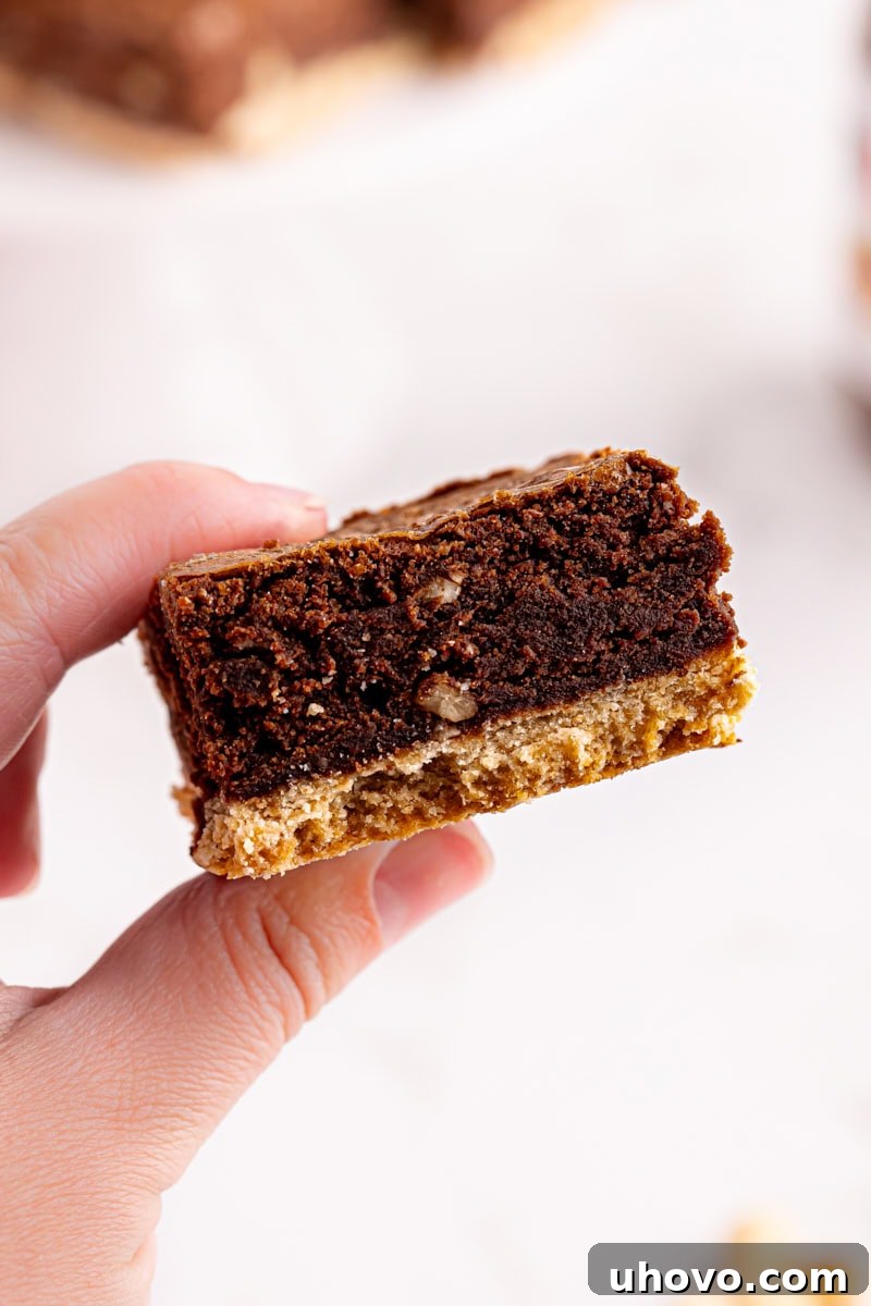 A hand holding a perfectly cut Nutella brownie, showcasing its fudgy interior and distinct shortbread crust.