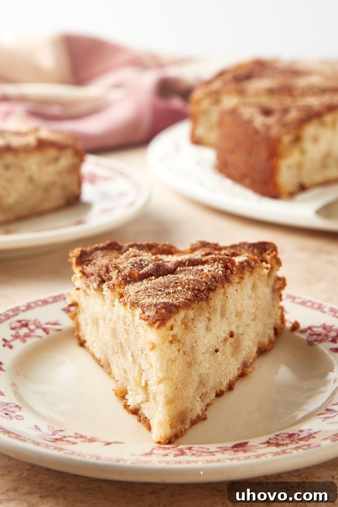 A perfectly sliced piece of Cinnamon Pear Cake rests on a beautiful red floral-rimmed white plate, showcasing its soft texture and the juicy pear chunks within, topped with a delicate cinnamon-sugar crust.