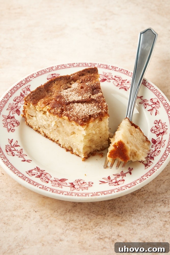 A delectable slice of Cinnamon Pear Cake sits elegantly on a red floral-rimmed white plate, invitingly showcasing its soft interior, pear chunks, and cinnamon-sugar topping.