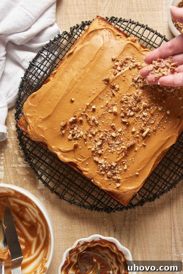 Overhead view of chopped nuts being delicately sprinkled on top of a freshly frosted brown sugar cake.