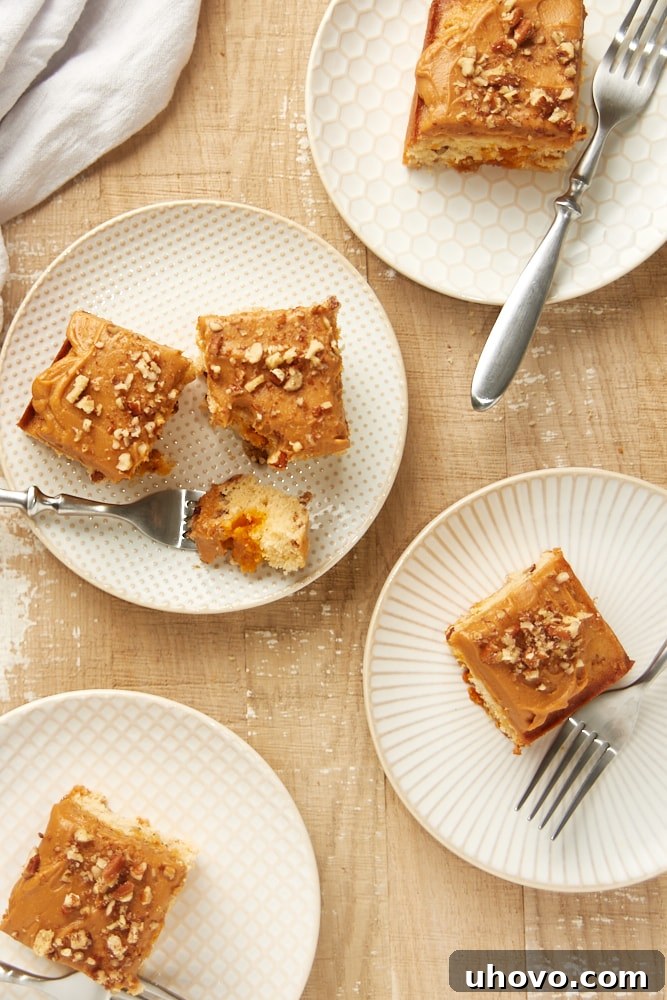 Overhead view of multiple slices of Brown Sugar Snack Cake with Dulce de Leche Frosting, ready to be enjoyed.