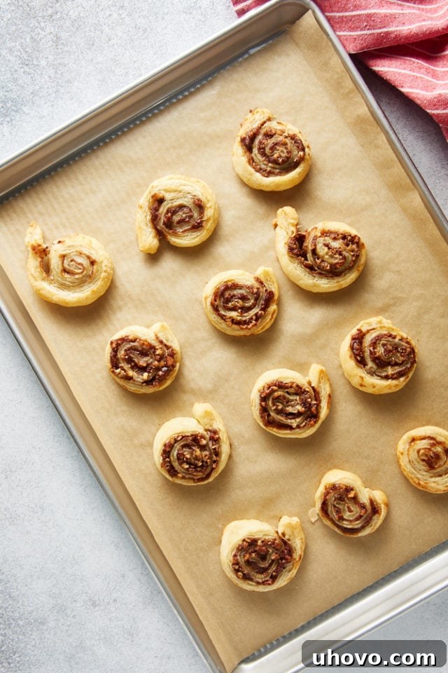overhead view of freshly baked Apple Butter Pinwheels on a parchment-lined baking sheet