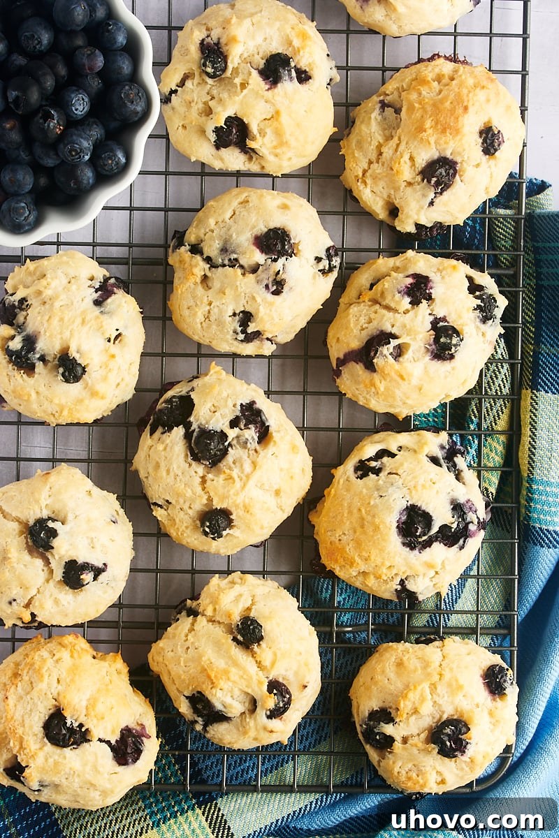 Overhead view of freshly baked blueberry biscuits cooling on a wire rack, showcasing their golden-brown tops.