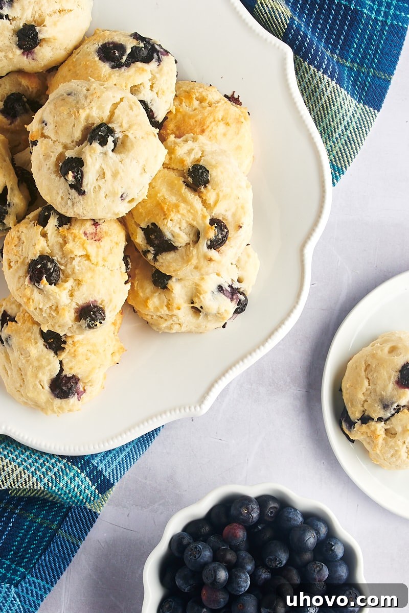 Overhead view of baked blueberry biscuits arranged on a white platter and a small plate, accompanied by a bowl of fresh blueberries.