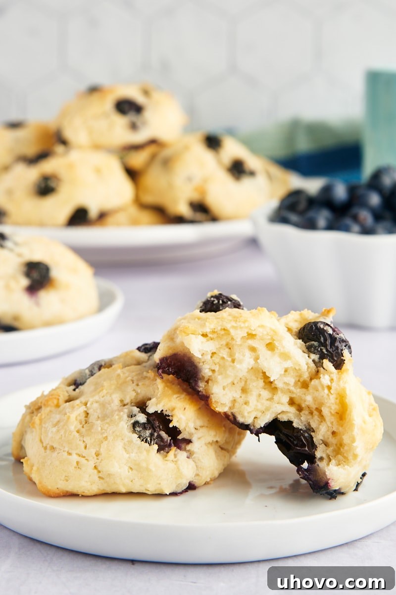 Two blueberry biscuits on a white plate, with one biscuit broken open to reveal its tender, light texture and juicy blueberries inside.