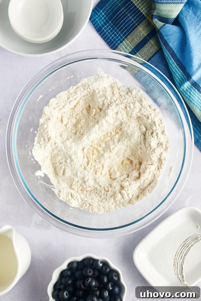 Overhead view of the dry ingredients and butter cubes in a mixing bowl, lightly mixed until crumbly.