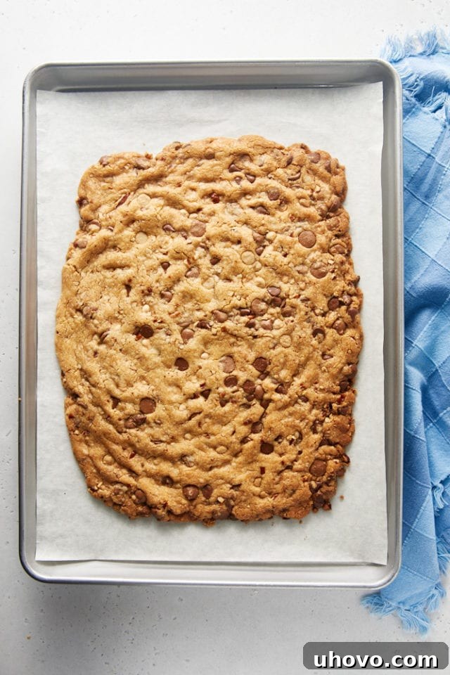 Overhead view of the freshly baked Triple Chocolate Chip Cookie Brittle, golden brown and firm, still on the lined baking sheet.
