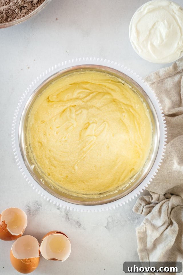 Overhead view of creamed butter and sugar in mixing bowl