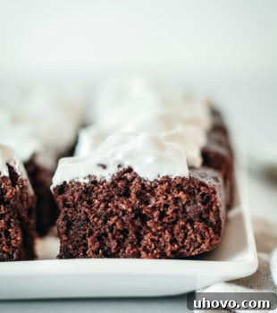 Closeup of brownie squares topped with meringue