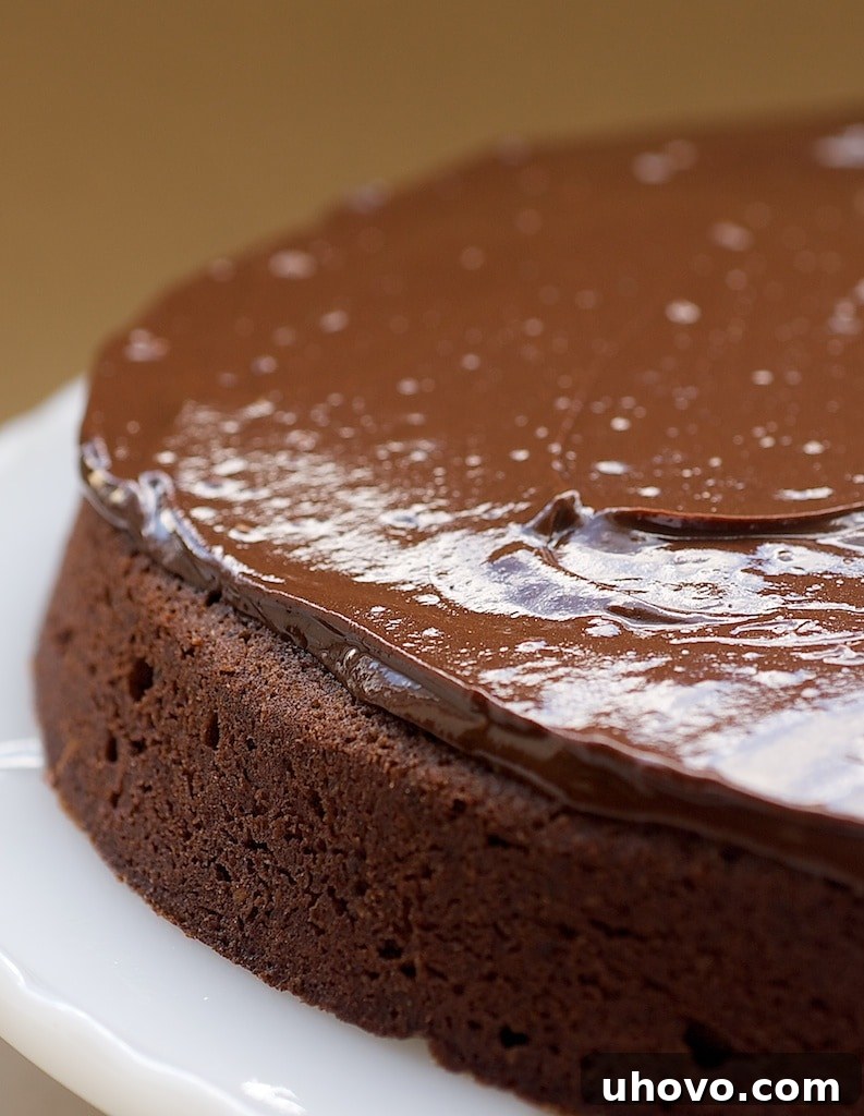 Reine de Saba is such a rich, delicious, chocolate-y cake! If you are a chocolate lover, this one is a must-bake! - Bake or Break