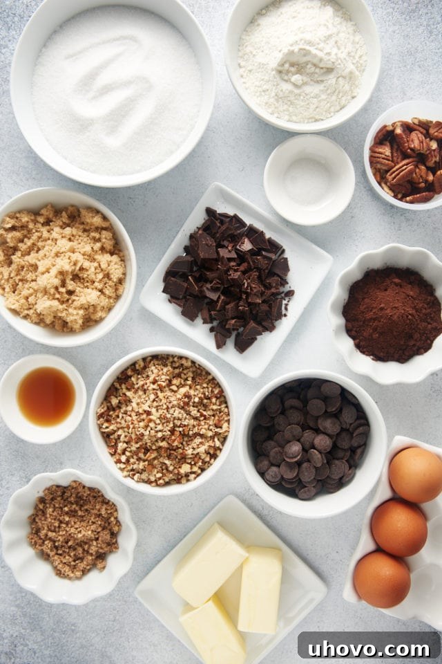 An overhead view of brownie ingredients laid out on a marble surface, featuring butter, unsweetened chocolate, cocoa powder, sugars, eggs, vanilla, flour, and various forms of pecans.
