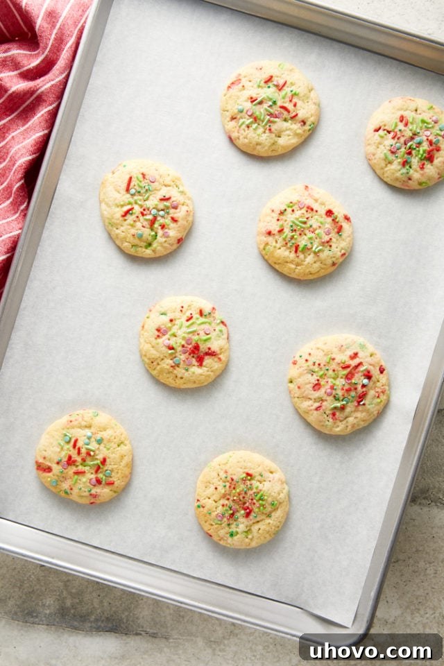 Overhead view of freshly baked, soft Christmas sprinkle sugar cookies cooling on a parchment-lined baking sheet, golden and inviting.