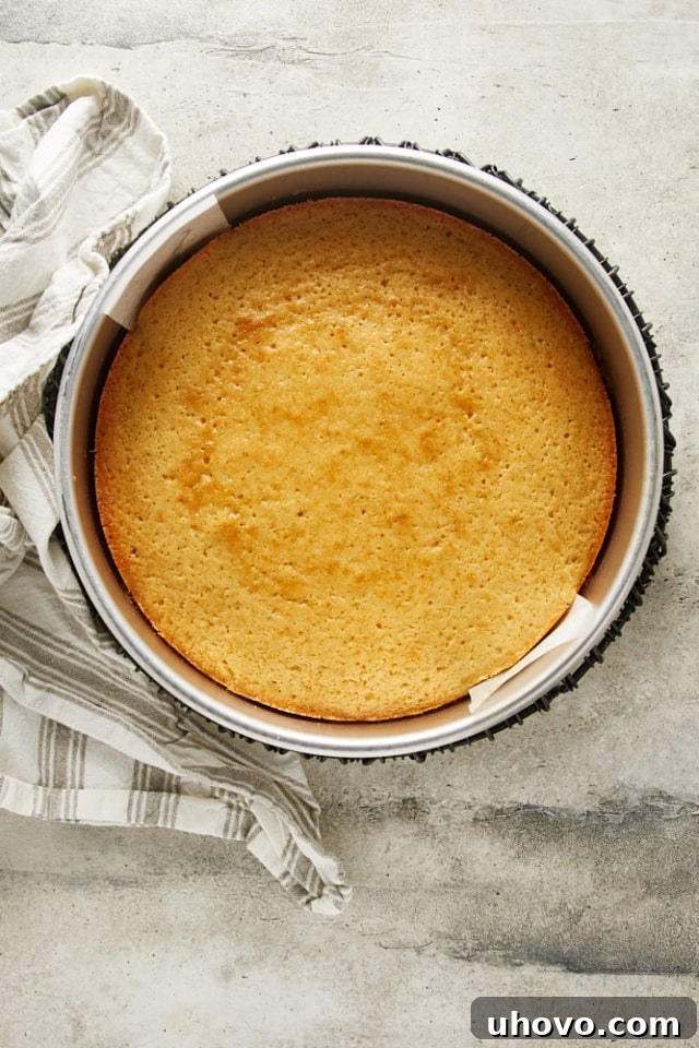 A freshly baked Irish Cream Cake, golden brown and fragrant, cooling in its pan on a wire rack.