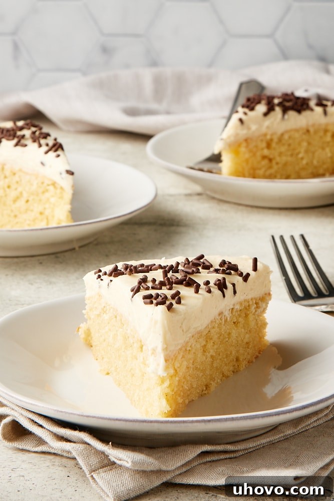 A delectable slice of Irish Cream Cake on a white plate, with additional servings blurred in the background, inviting you to taste.