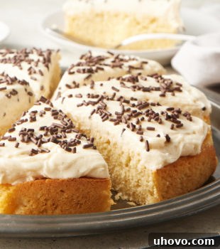A simple yet elegant Irish Cream Cake on a pewter cake plate, ready for serving.