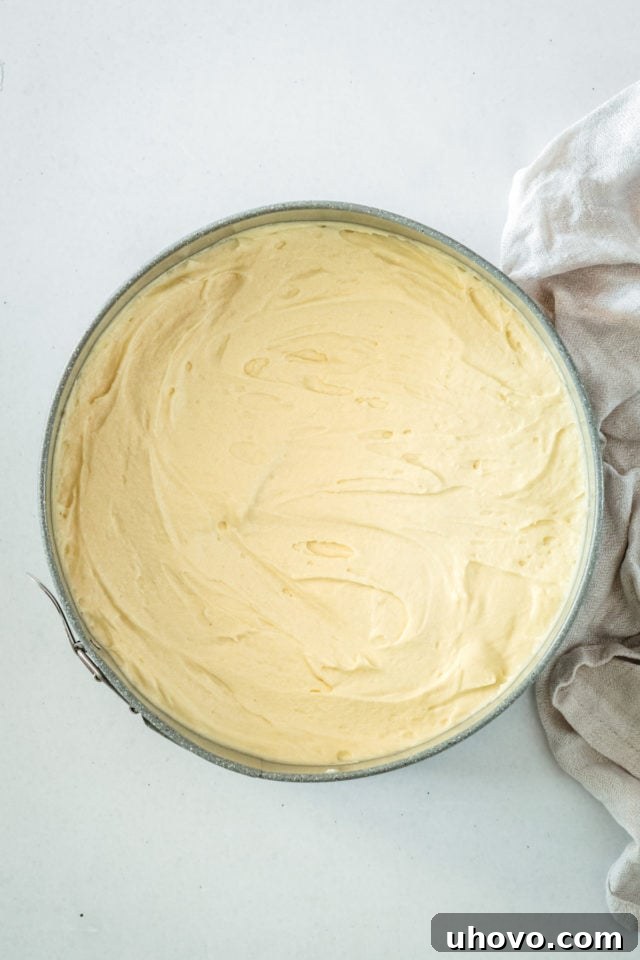 Overhead view of the vanilla cake batter scraped into the prepared springform pan, spread evenly.