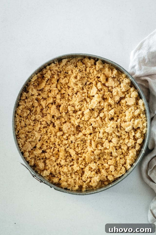 Overhead view of the coffee cake in the springform pan, with swirled batter and crumb topping, just before baking.