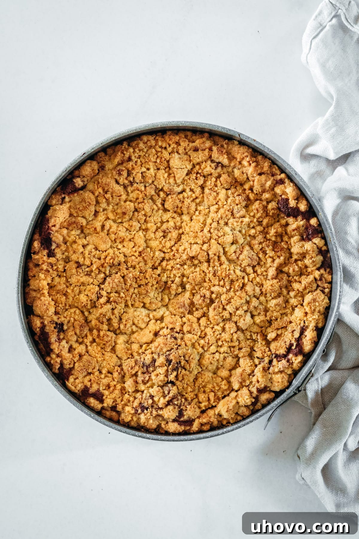 Overhead view of the Chocolate Swirl Coffee Cake baking in a springform pan, with a golden brown crumb topping.