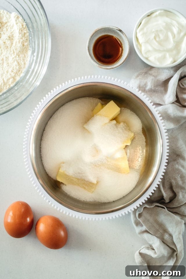 Overhead view of softened butter and granulated sugar in a mixing bowl, ready for creaming.