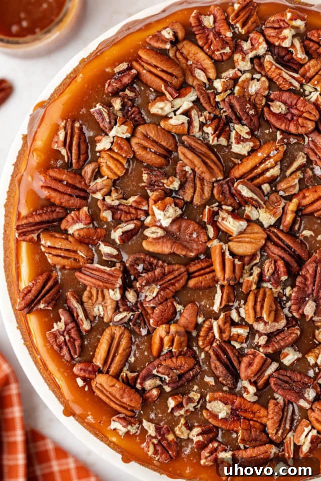 The finished salted caramel cheesecake, generously topped with golden caramel sauce, toasted pecans, and a sprinkle of coarse sea salt.