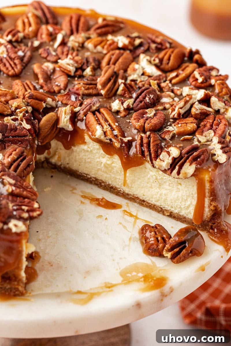 A slice of salted caramel cheesecake carefully removed from the whole cake, displayed on a cake stand, revealing its creamy texture and rich layers.