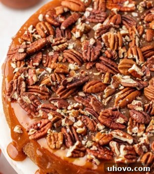 A whole salted caramel cheesecake resting elegantly on a cake stand, ready to be served.