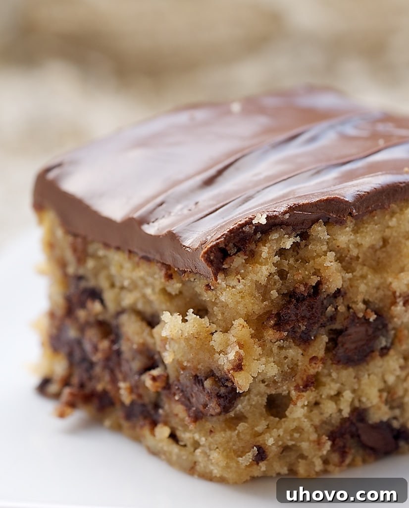 A delectable slice of Chocolate Chip Snack Cake, rich with melted chocolate and pecans, presented elegantly on a pristine white plate, promising a delightful dessert experience.