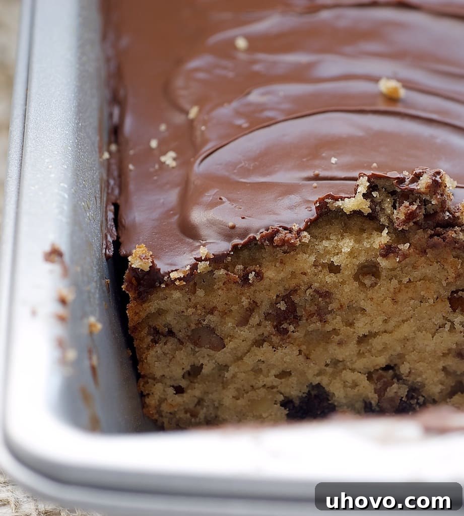 A freshly baked Chocolate Chip Snack Cake, studded with melted chocolate chips and chopped pecans, cooling in a sturdy metal baking pan, ready to be enjoyed straight from the pan.