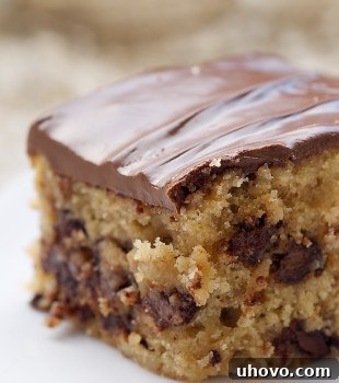 A close-up of a generously frosted slice of Chocolate Chip Snack Cake on a white plate, showcasing its moist texture and abundant chocolate chips.