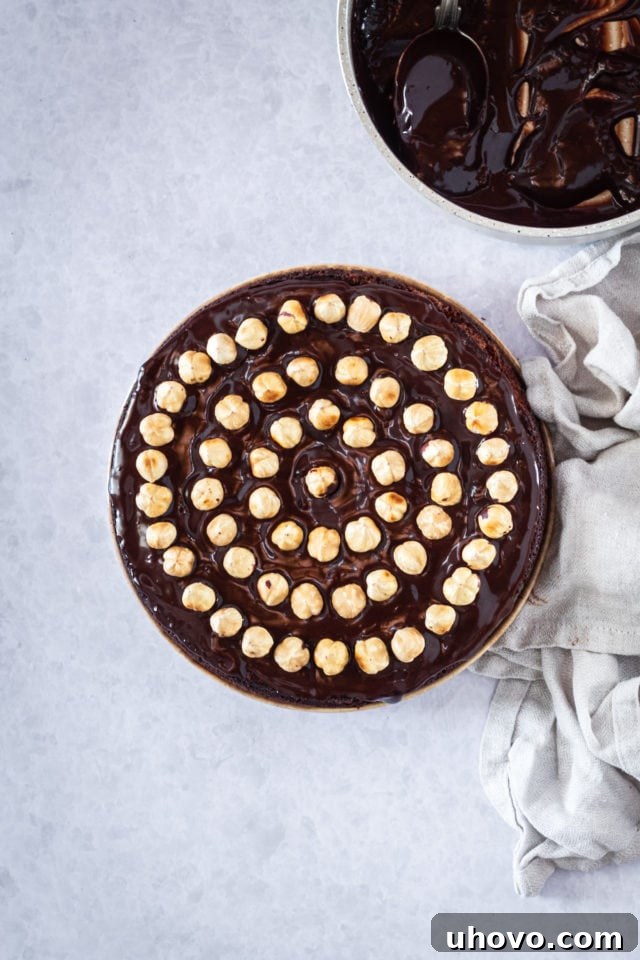 overhead of a cake with hazelnuts on top