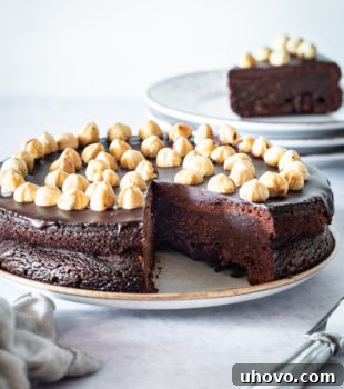 chocolate hazelnut cake on a serving plate with a slice removed to show the fudgy interior