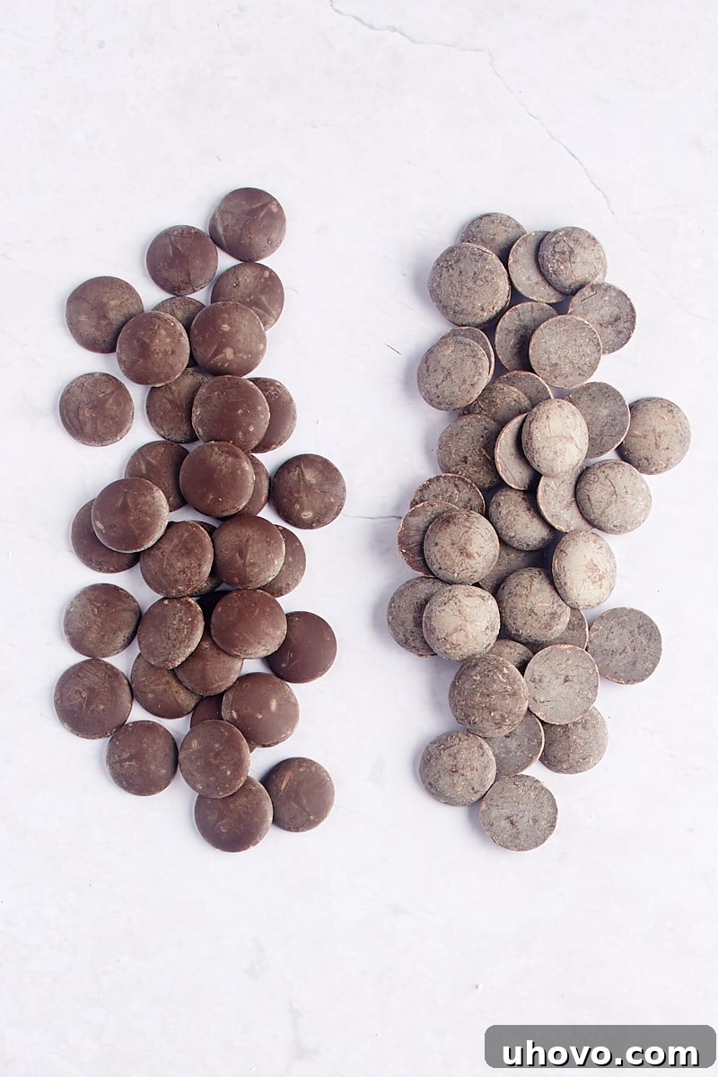 dark chocolate chips next to bloomed dark chocolate chips