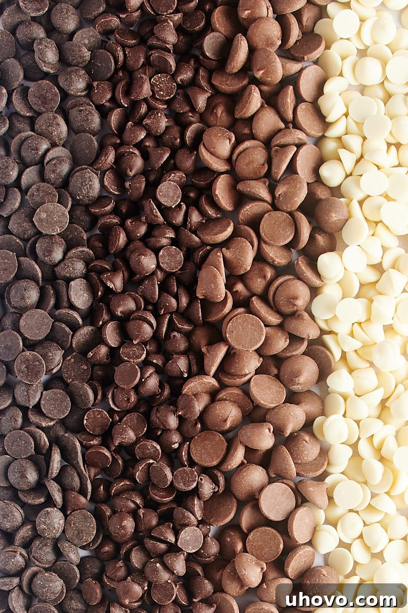 four different types of chocolate chips lined up in rows