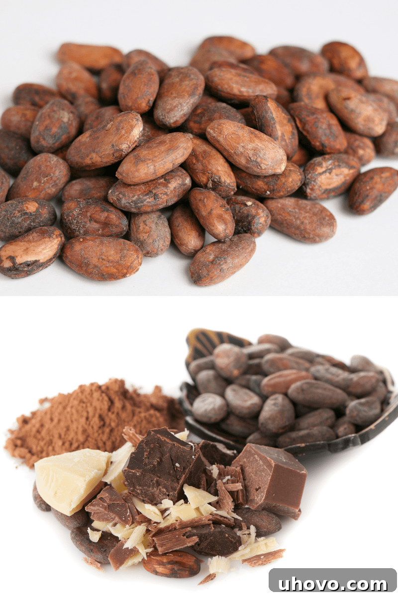 an image of cacao beans and an image of cacao beans, cocoa butter, and various forms of chocolate