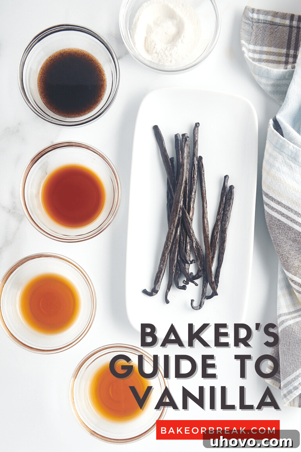 Baker's Guide to Vanilla bakeorbreak.com