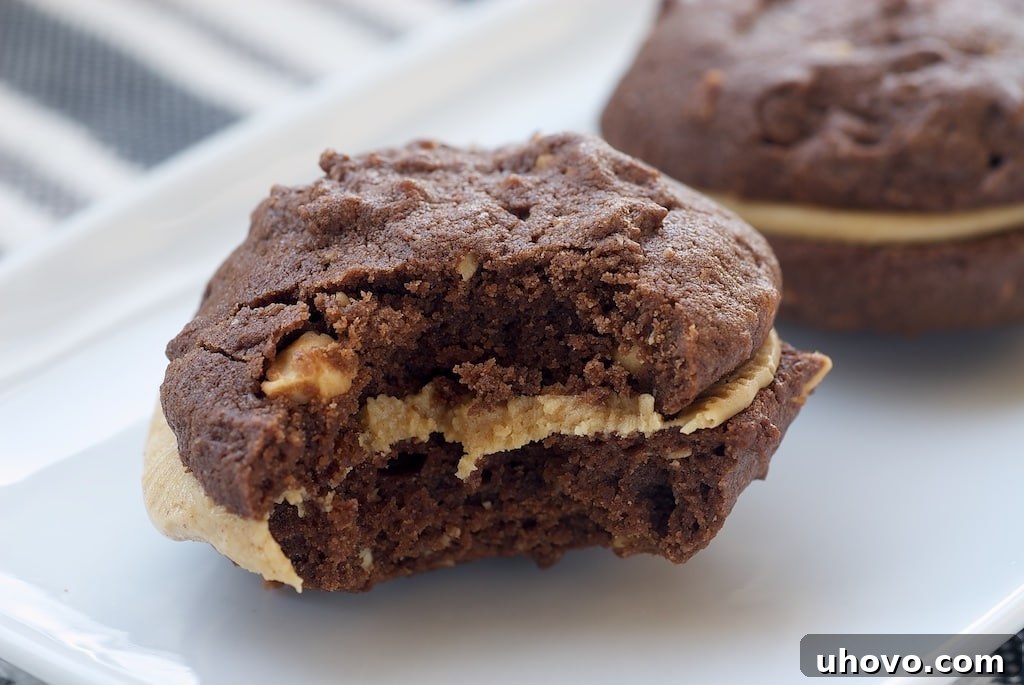 Decadent Dark Chocolate Cookies with Roasted Peanuts, Sandwiching a Smooth Peanut Butter Filling.