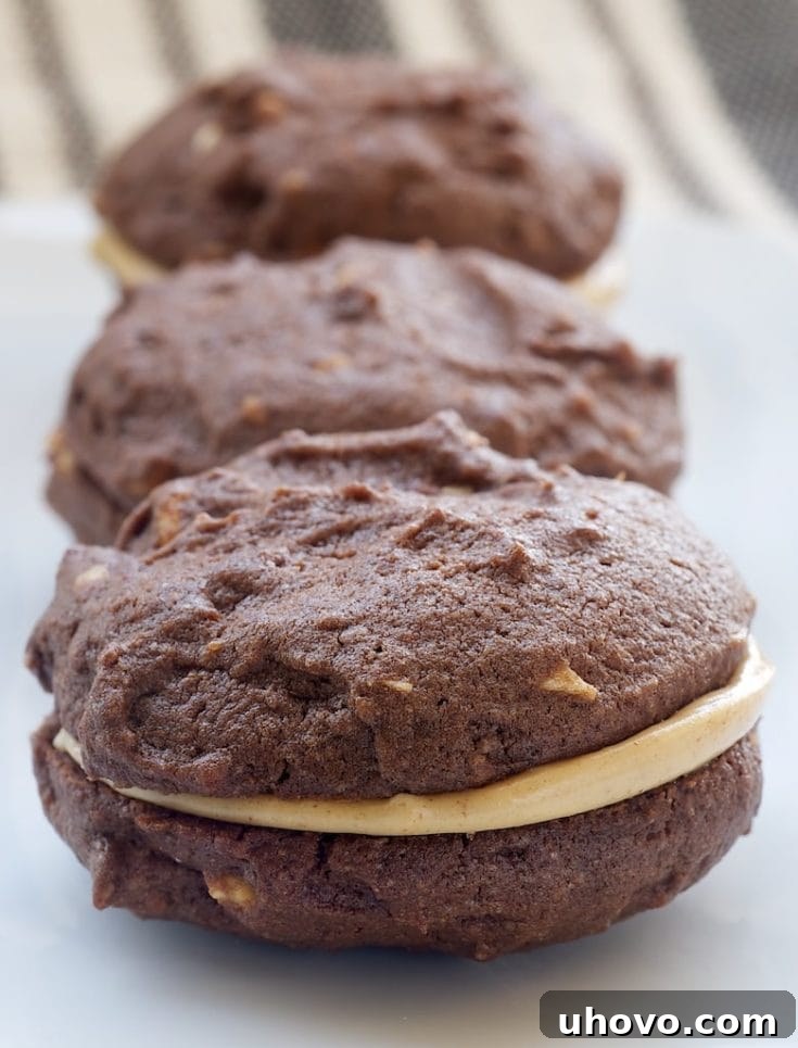 Delicious Homemade Chocolate-Peanut Butter Sandwich Cookies