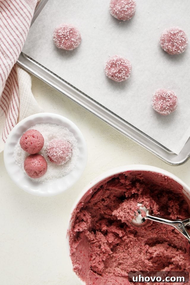 Overhead view demonstrating raspberry sugar cookie dough being scooped, rolled in sanding sugar, and placed onto a parchment-lined baking pan.
