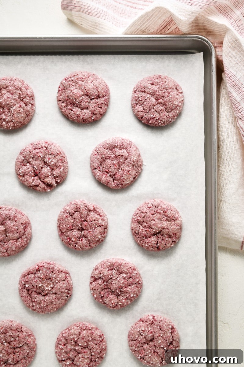 Overhead view of a tray of freshly baked raspberry sugar cookies on a parchment-lined baking sheet, golden at the edges.