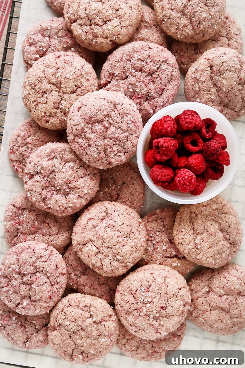 Overhead view of freshly baked raspberry sugar cookies cooling on parchment paper on a wire rack, with a bowl of freeze-dried raspberries nearby.