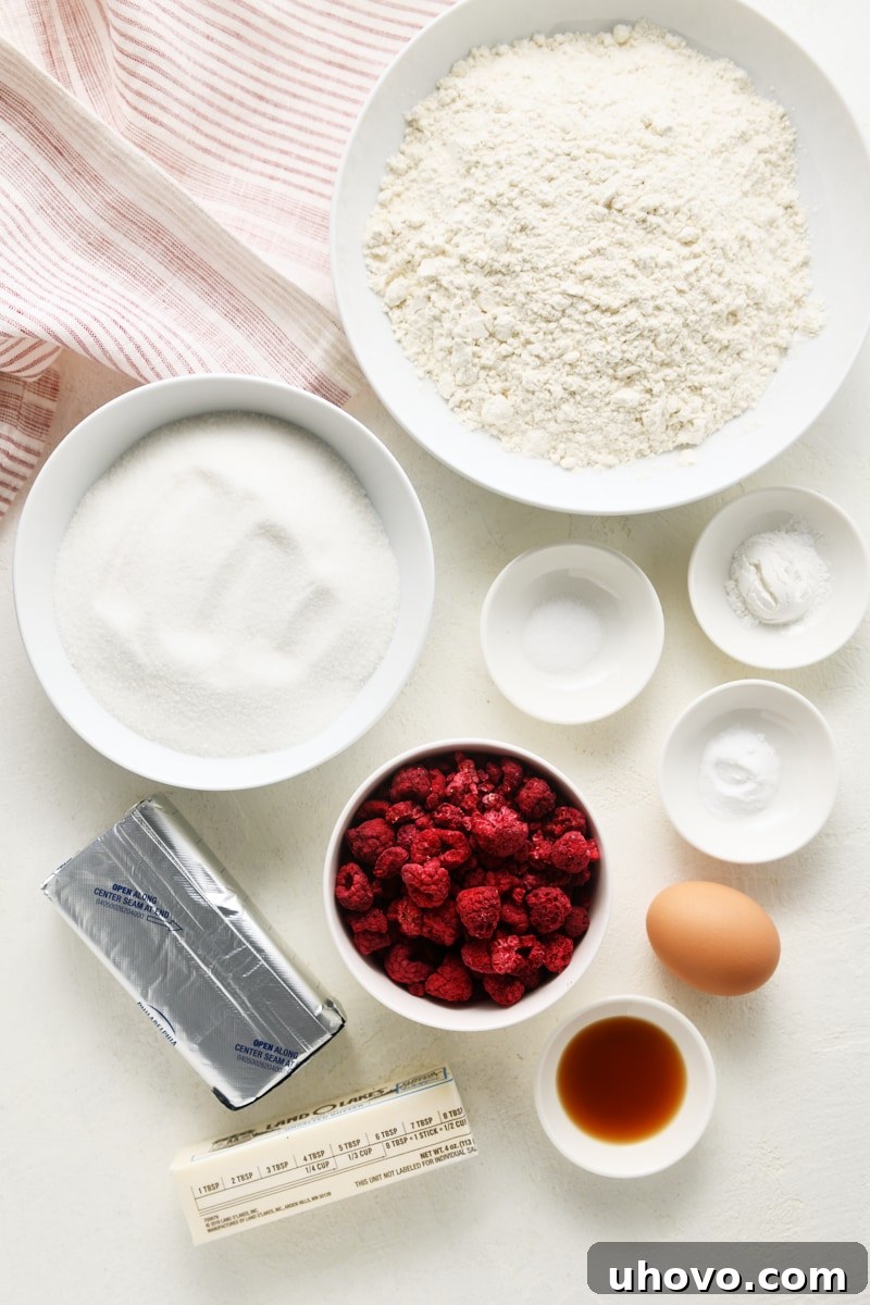 Overhead view of all the ingredients meticulously laid out for baking raspberry sugar cookies.