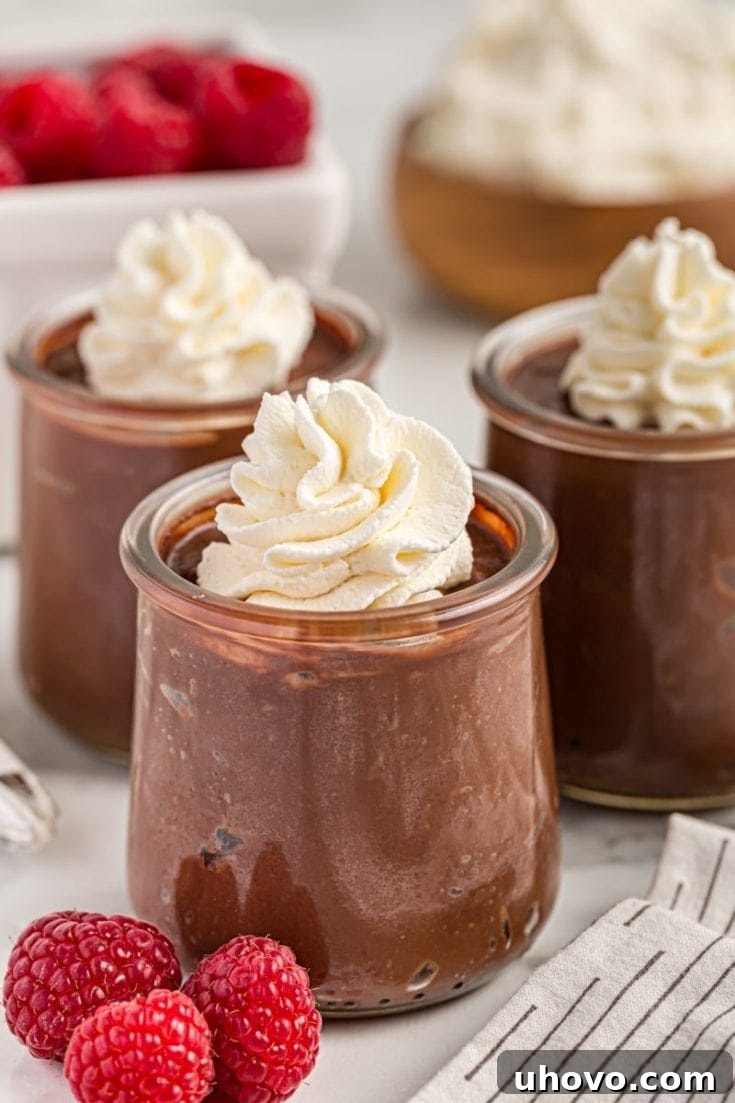 Double Chocolate Pudding served in pretty glasses with whipped cream.