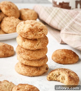 stack of Brown Butter Cinnamon Cookies with more cookies surrounding