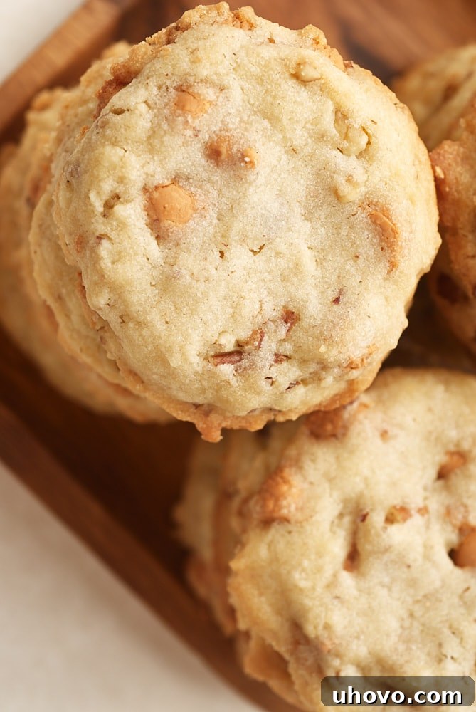 Overhead view of multiple stacks of golden-brown Butterscotch Pecan Sandies, highlighting their perfect shape and ingredient distribution.